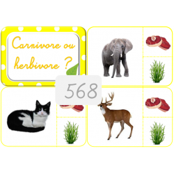 568 - Carnivore ou herbivore ?