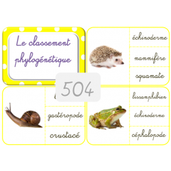 504 - Le classement...